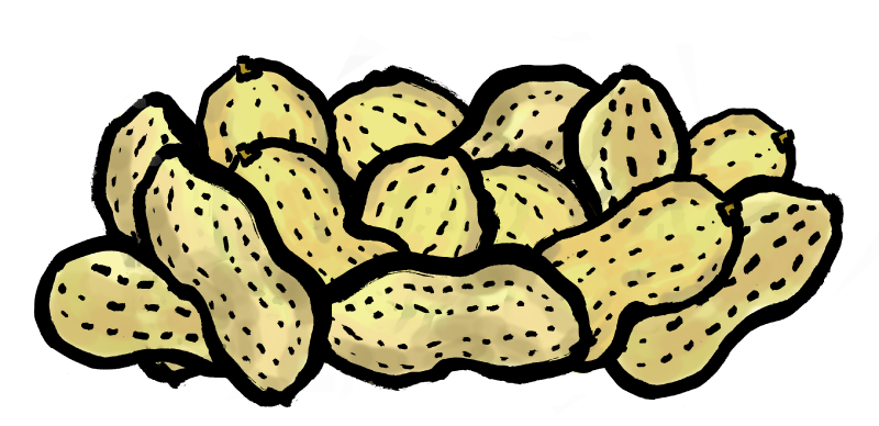 らっかせい落花生ピーナツ　イラスト｜心にチクっとささるワードで作る「ちくわPOP（ちくわぽっぷ）」｜農産物直売所やスーパーの青果売り場の活性化に！農に特化したPOPが無料!!