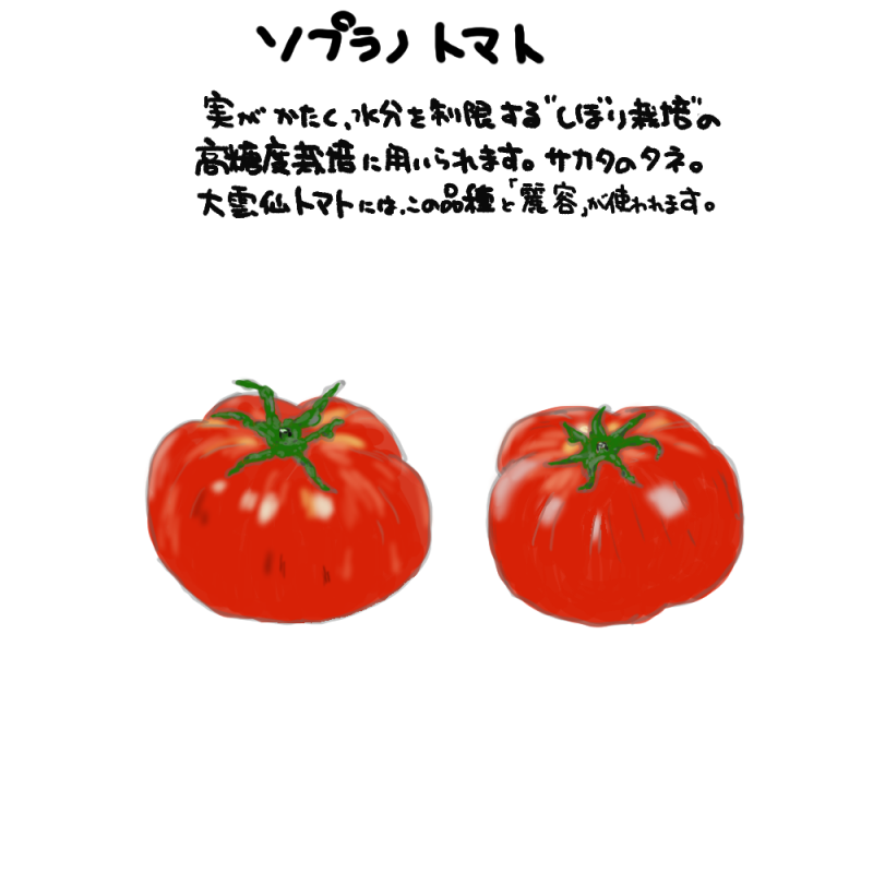 ソプラノトマトsoprano pomodoro｜心にチクっとささるワードで作る「ちくわPOP（ちくわぽっぷ）」｜農産物直売所やスーパーの青果売り場の活性化に！農に特化したPOPが無料!!