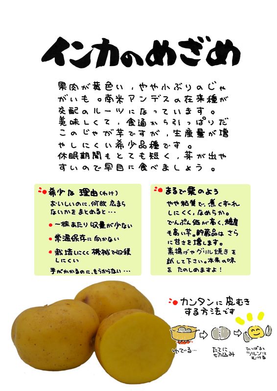 インカのめざめ｜心にチクっとささるワードで作る「ちくわPOP（ちくわぽっぷ）」｜農産物直売所やスーパーの青果売り場の活性化に！農に特化したPOPが無料!!