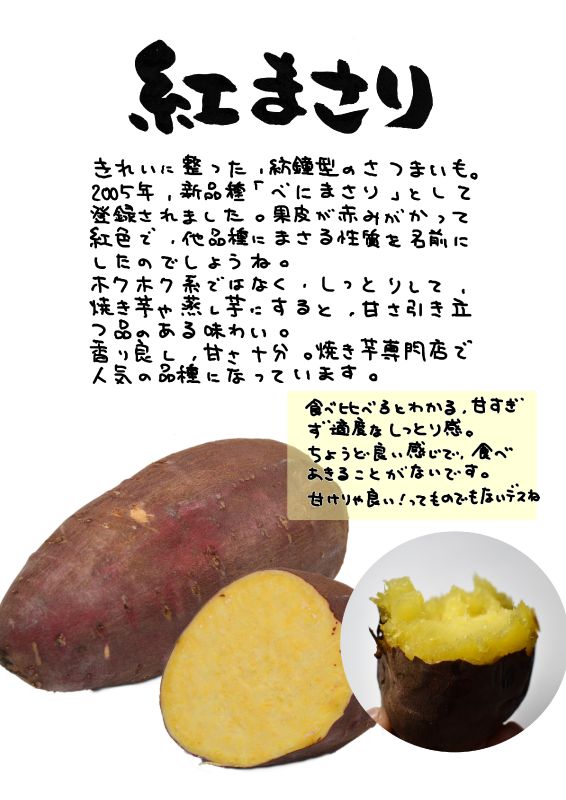 紅まさり　べにまさり｜心にチクっとささるワードで作る「ちくわPOP（ちくわぽっぷ）」｜農産物直売所やスーパーの青果売り場の活性化に！農に特化したPOPが無料!!