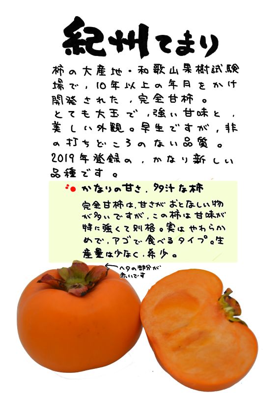 紀州てまり２　完全甘柿｜心にチクっとささるワードで作る「ちくわPOP（ちくわぽっぷ）」｜農産物直売所やスーパーの青果売り場の活性化に！農に特化したPOPが無料!!