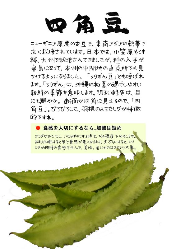 四角豆　うりずん豆　TX｜心にチクっとささるワードで作る「ちくわPOP（ちくわぽっぷ）」｜農産物直売所やスーパーの青果売り場の活性化に！農に特化したPOPが無料!!