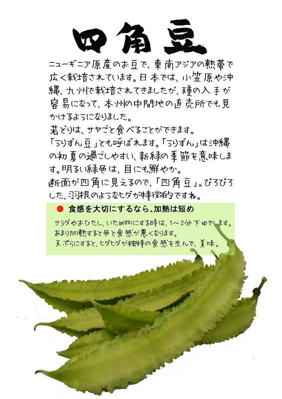 四角豆　うりずん豆 2  TX｜心にチクっとささるワードで作る「ちくわPOP（ちくわぽっぷ）」｜農産物直売所やスーパーの青果売り場の活性化に！農に特化したPOPが無料!!