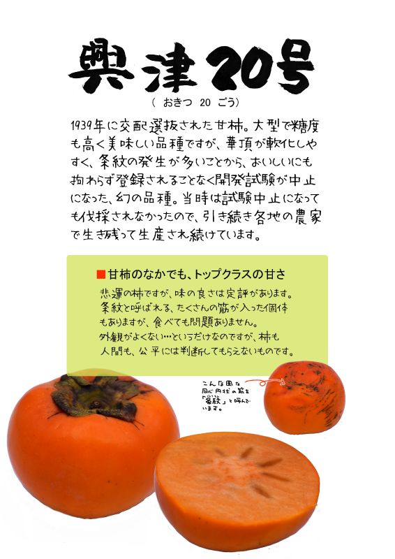 興津20号　甘柿｜心にチクっとささるワードで作る「ちくわPOP（ちくわぽっぷ）」｜農産物直売所やスーパーの青果売り場の活性化に！農に特化したPOPが無料!!