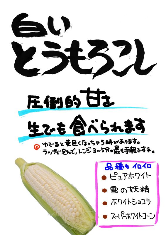 白いとうもろこし｜心にチクっとささるワードで作る「ちくわPOP（ちくわぽっぷ）」｜農産物直売所やスーパーの青果売り場の活性化に！農に特化したPOPが無料!!