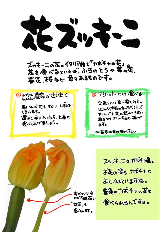 花ズッキーニ｜心にチクっとささるワードで作る「ちくわPOP（ちくわぽっぷ）」｜農産物直売所やスーパーの青果売り場の活性化に！農に特化したPOPが無料!!