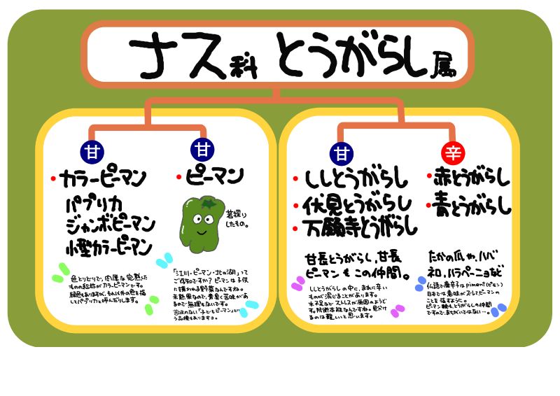 ナス科トウガラシ属｜心にチクっとささるワードで作る「ちくわPOP（ちくわぽっぷ）」｜農産物直売所やスーパーの青果売り場の活性化に！農に特化したPOPが無料!!