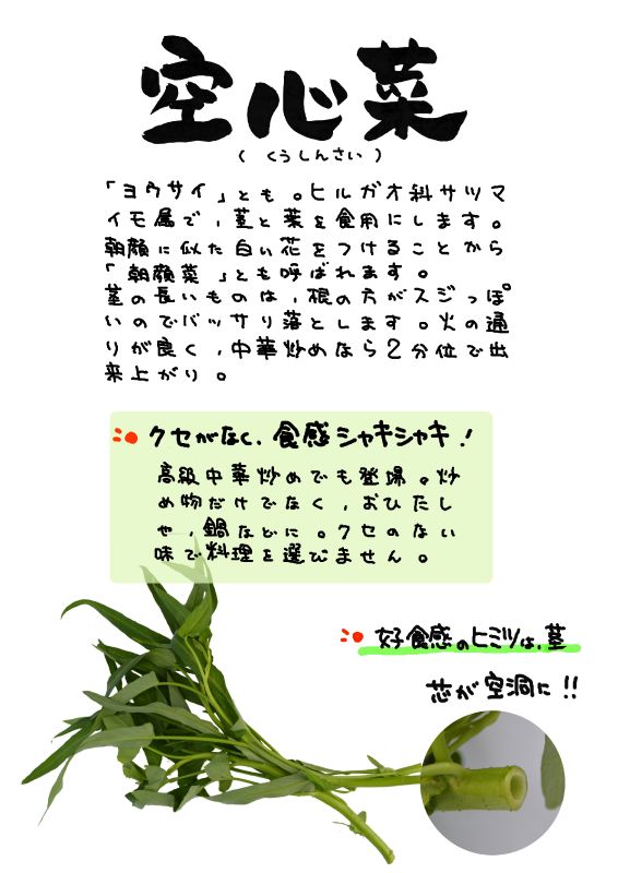 エンサイ　空心菜｜心にチクっとささるワードで作る「ちくわPOP（ちくわぽっぷ）」｜農産物直売所やスーパーの青果売り場の活性化に！農に特化したPOPが無料!!