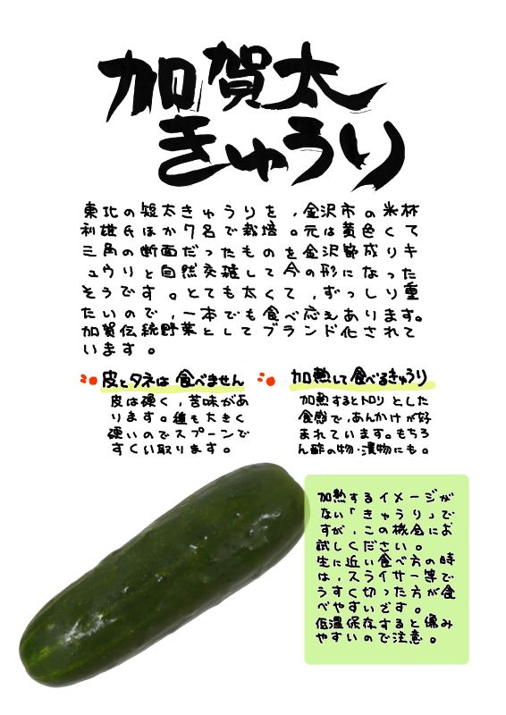 加賀太きゅうり｜心にチクっとささるワードで作る「ちくわPOP（ちくわぽっぷ）」｜農産物直売所やスーパーの青果売り場の活性化に！農に特化したPOPが無料!!