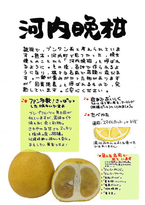 河内晩柑｜心にチクっとささるワードで作る「ちくわPOP（ちくわぽっぷ）」｜農産物直売所やスーパーの青果売り場の活性化に！農に特化したPOPが無料!!