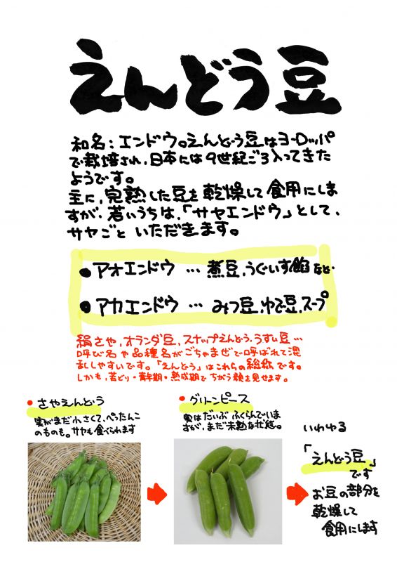 えんどう豆｜心にチクっとささるワードで作る「ちくわPOP（ちくわぽっぷ）」｜農産物直売所やスーパーの青果売り場の活性化に！農に特化したPOPが無料!!