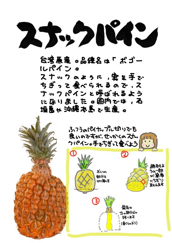 スナックパイン｜心にチクっとささるワードで作る「ちくわPOP（ちくわぽっぷ）」｜農産物直売所やスーパーの青果売り場の活性化に！農に特化したPOPが無料!!