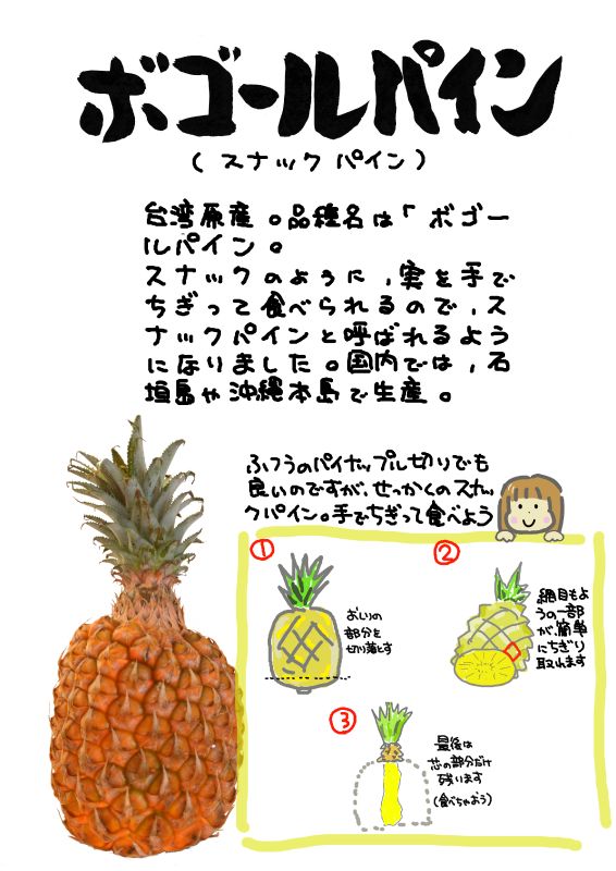 ボゴールパイン｜心にチクっとささるワードで作る「ちくわPOP（ちくわぽっぷ）」｜農産物直売所やスーパーの青果売り場の活性化に！農に特化したPOPが無料!!