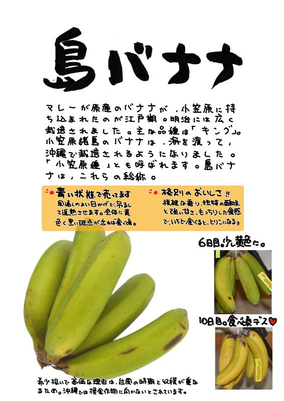 島バナナ｜心にチクっとささるワードで作る「ちくわPOP（ちくわぽっぷ）」｜農産物直売所やスーパーの青果売り場の活性化に！農に特化したPOPが無料!!