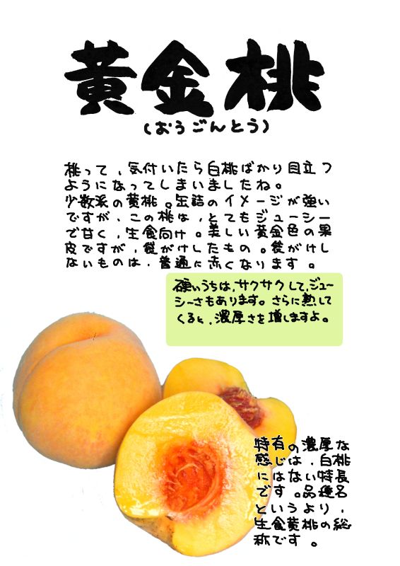 黄金桃　黄桃｜心にチクっとささるワードで作る「ちくわPOP（ちくわぽっぷ）」｜農産物直売所やスーパーの青果売り場の活性化に！農に特化したPOPが無料!!