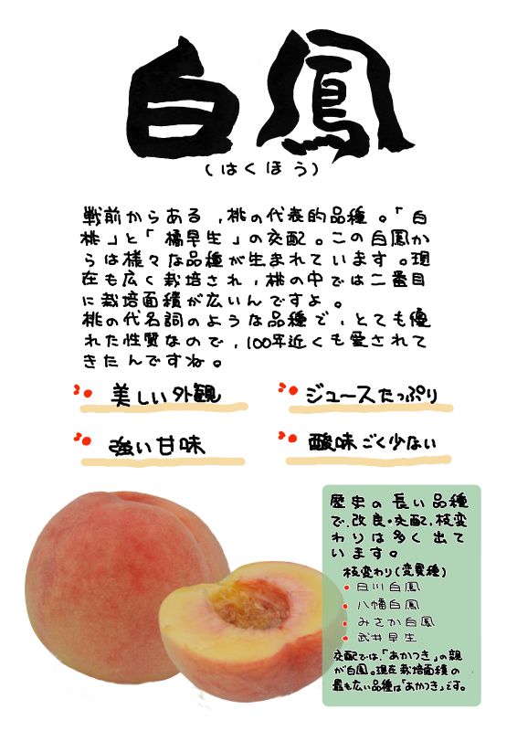 白鳳　桃｜心にチクっとささるワードで作る「ちくわPOP（ちくわぽっぷ）」｜農産物直売所やスーパーの青果売り場の活性化に！農に特化したPOPが無料!!