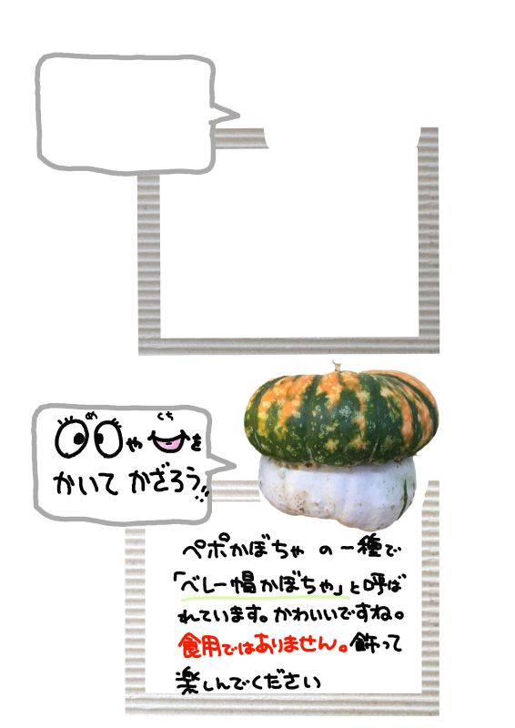 ベレー帽かぼちゃ　ペポかぼちゃ写真｜心にチクっとささるワードで作る「ちくわPOP（ちくわぽっぷ）」｜農産物直売所やスーパーの青果売り場の活性化に！農に特化したPOPが無料!!