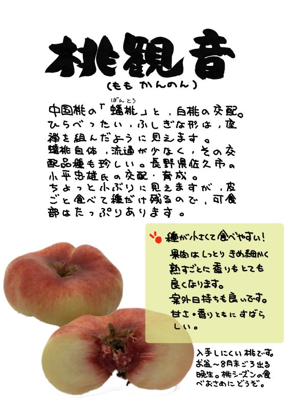 桃観音　蟠桃　中華桃｜心にチクっとささるワードで作る「ちくわPOP（ちくわぽっぷ）」｜農産物直売所やスーパーの青果売り場の活性化に！農に特化したPOPが無料!!