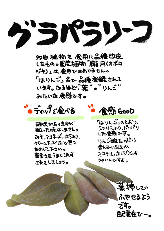 グラパラリーフ｜心にチクっとささるワードで作る「ちくわPOP（ちくわぽっぷ）」｜農産物直売所やスーパーの青果売り場の活性化に！農に特化したPOPが無料!!