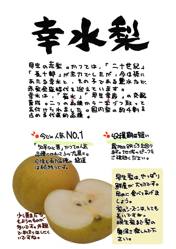 幸水梨｜心にチクっとささるワードで作る「ちくわPOP（ちくわぽっぷ）」｜農産物直売所やスーパーの青果売り場の活性化に！農に特化したPOPが無料!!