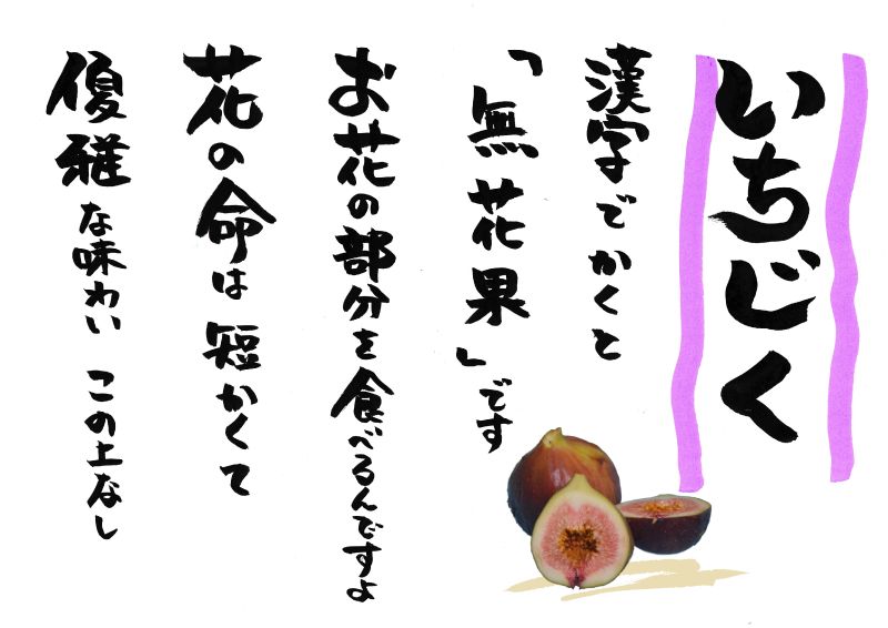 いちじく　無花果｜心にチクっとささるワードで作る「ちくわPOP（ちくわぽっぷ）」｜農産物直売所やスーパーの青果売り場の活性化に！農に特化したPOPが無料!!