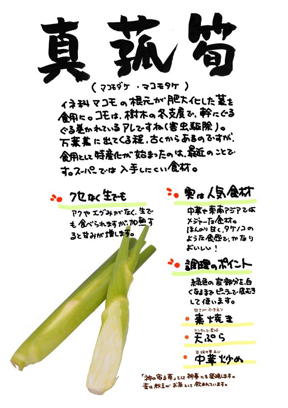 真菰筍　まこもだけ｜心にチクっとささるワードで作る「ちくわPOP（ちくわぽっぷ）」｜農産物直売所やスーパーの青果売り場の活性化に！農に特化したPOPが無料!!