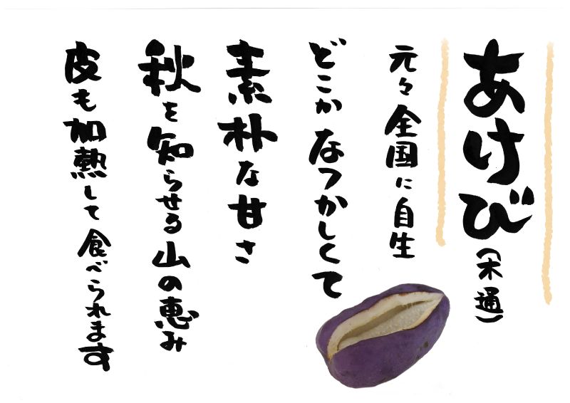 あけび　木通　５行｜心にチクっとささるワードで作る「ちくわPOP（ちくわぽっぷ）」｜農産物直売所やスーパーの青果売り場の活性化に！農に特化したPOPが無料!!