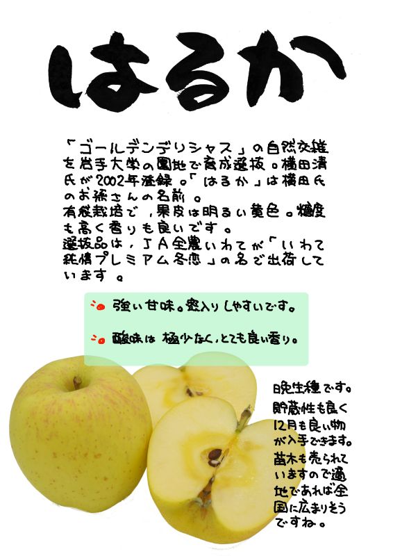 はるか　りんご｜心にチクっとささるワードで作る「ちくわPOP（ちくわぽっぷ）」｜農産物直売所やスーパーの青果売り場の活性化に！農に特化したPOPが無料!!