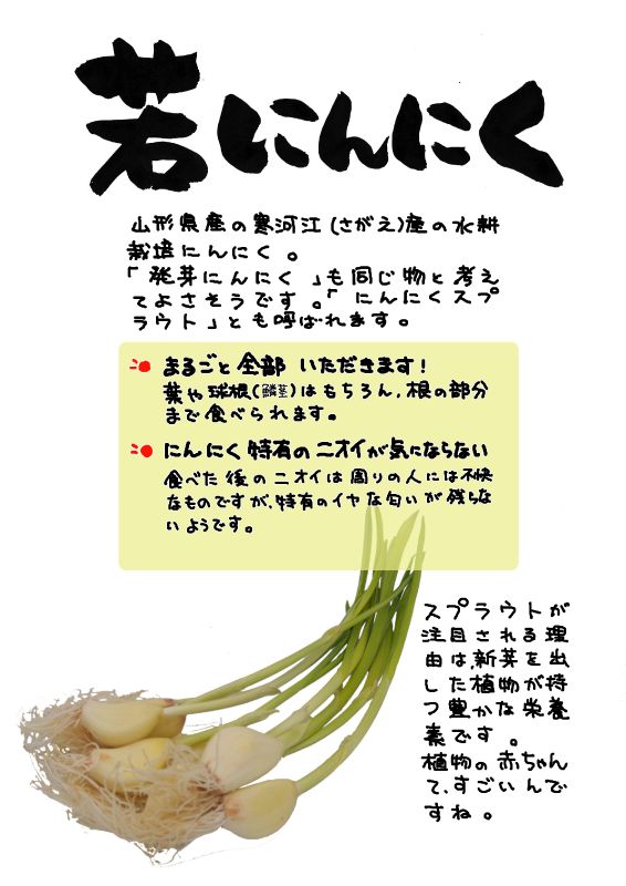 若にんにく｜心にチクっとささるワードで作る「ちくわPOP（ちくわぽっぷ）」｜農産物直売所やスーパーの青果売り場の活性化に！農に特化したPOPが無料!!