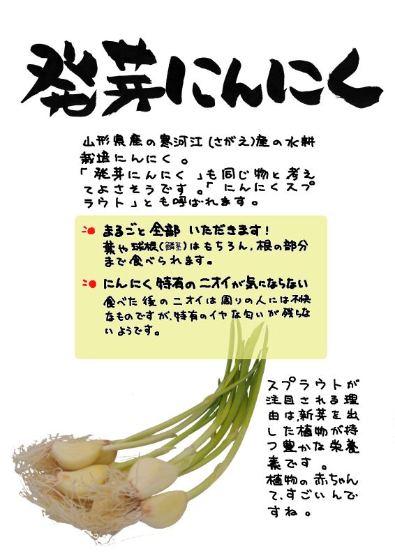 発芽にんにく｜心にチクっとささるワードで作る「ちくわPOP（ちくわぽっぷ）」｜農産物直売所やスーパーの青果売り場の活性化に！農に特化したPOPが無料!!