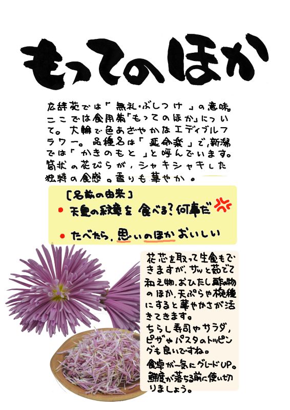 もってのほか｜心にチクっとささるワードで作る「ちくわPOP（ちくわぽっぷ）」｜農産物直売所やスーパーの青果売り場の活性化に！農に特化したPOPが無料!!