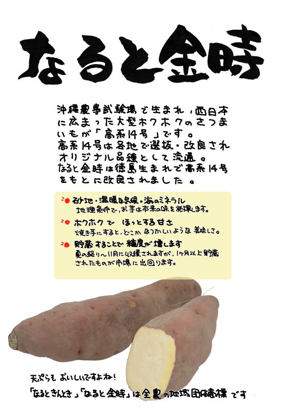 なると金時｜心にチクっとささるワードで作る「ちくわPOP（ちくわぽっぷ）」｜農産物直売所やスーパーの青果売り場の活性化に！農に特化したPOPが無料!!