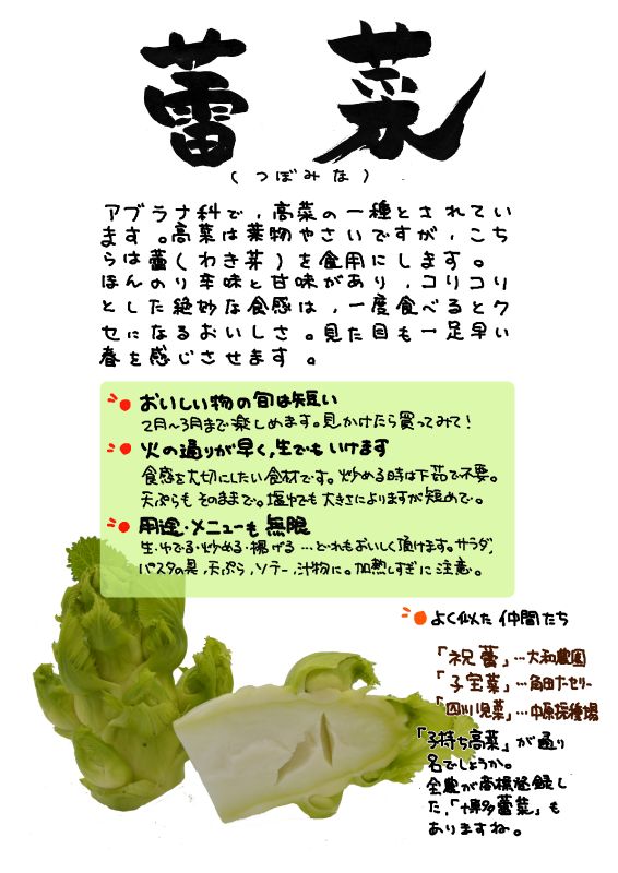 つぼみな　蕾菜｜心にチクっとささるワードで作る「ちくわPOP（ちくわぽっぷ）」｜農産物直売所やスーパーの青果売り場の活性化に！農に特化したPOPが無料!!