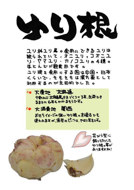 ゆりね　ゆり根｜心にチクっとささるワードで作る「ちくわPOP（ちくわぽっぷ）」｜農産物直売所やスーパーの青果売り場の活性化に！農に特化したPOPが無料!!