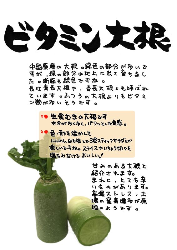 ビタミン大根　青長大根｜心にチクっとささるワードで作る「ちくわPOP（ちくわぽっぷ）」｜農産物直売所やスーパーの青果売り場の活性化に！農に特化したPOPが無料!!