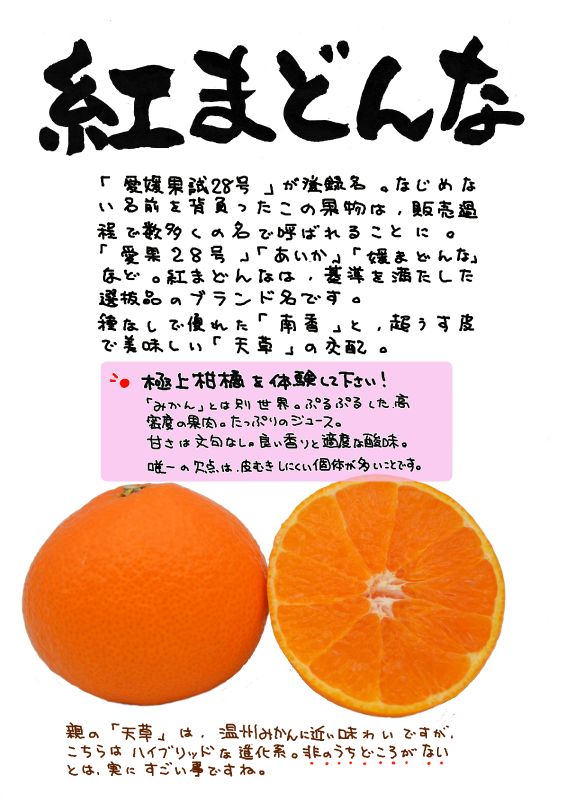 紅まどんな｜心にチクっとささるワードで作る「ちくわPOP（ちくわぽっぷ）」｜農産物直売所やスーパーの青果売り場の活性化に！農に特化したPOPが無料!!