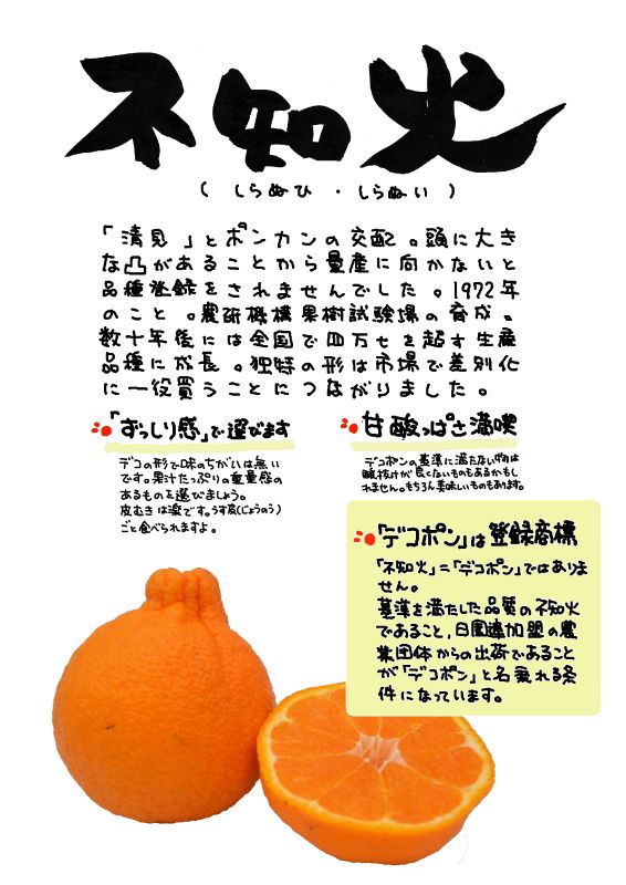 しらぬひ　不知火｜心にチクっとささるワードで作る「ちくわPOP（ちくわぽっぷ）」｜農産物直売所やスーパーの青果売り場の活性化に！農に特化したPOPが無料!!