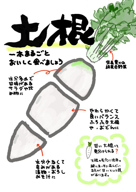 大根の部分説明｜心にチクっとささるワードで作る「ちくわPOP（ちくわぽっぷ）」｜農産物直売所やスーパーの青果売り場の活性化に！農に特化したPOPが無料!!