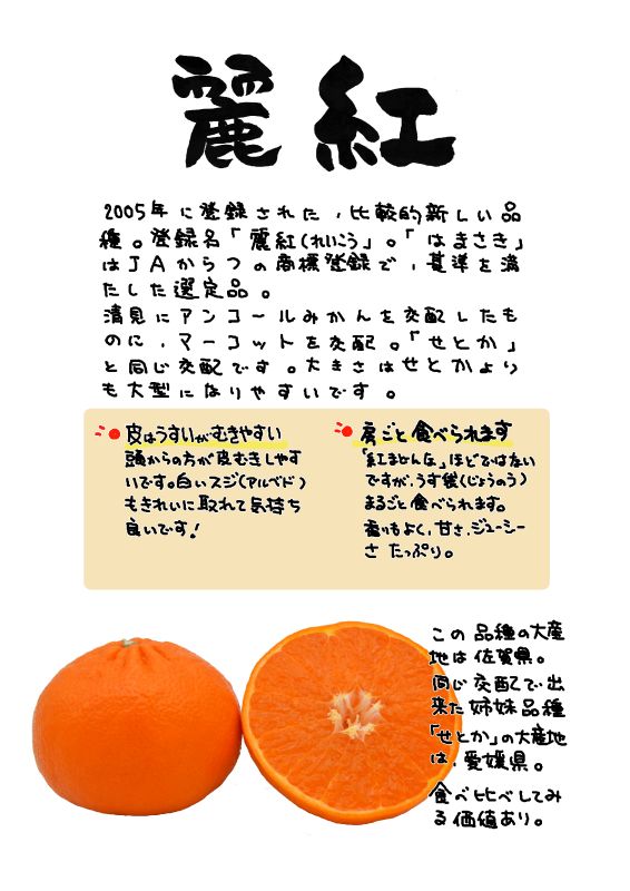 麗紅　はまさき｜心にチクっとささるワードで作る「ちくわPOP（ちくわぽっぷ）」｜農産物直売所やスーパーの青果売り場の活性化に！農に特化したPOPが無料!!