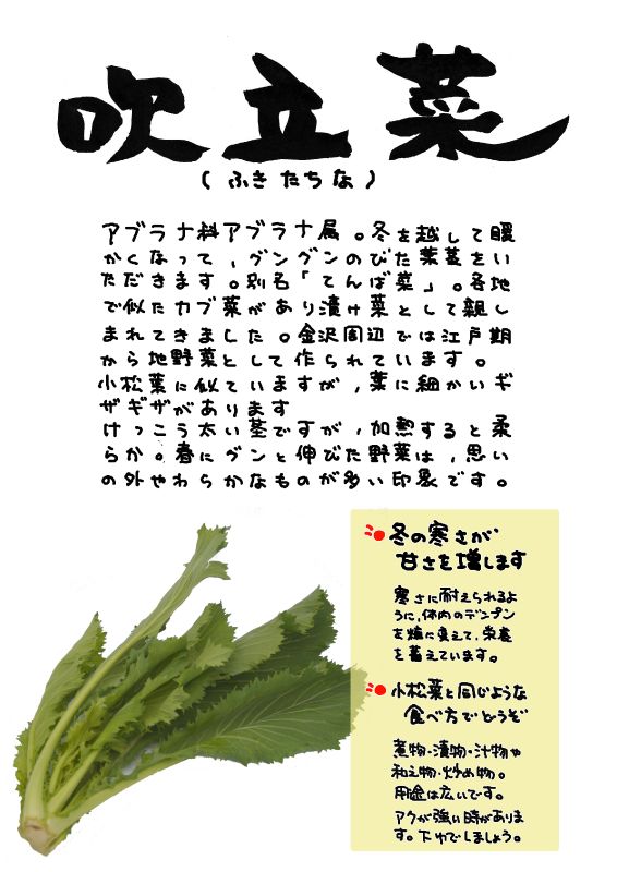 吹立菜　ふきたちな｜心にチクっとささるワードで作る「ちくわPOP（ちくわぽっぷ）」｜農産物直売所やスーパーの青果売り場の活性化に！農に特化したPOPが無料!!