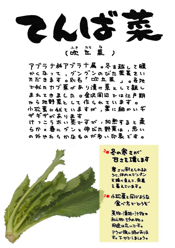 てんば菜　吹立菜｜心にチクっとささるワードで作る「ちくわPOP（ちくわぽっぷ）」｜農産物直売所やスーパーの青果売り場の活性化に！農に特化したPOPが無料!!