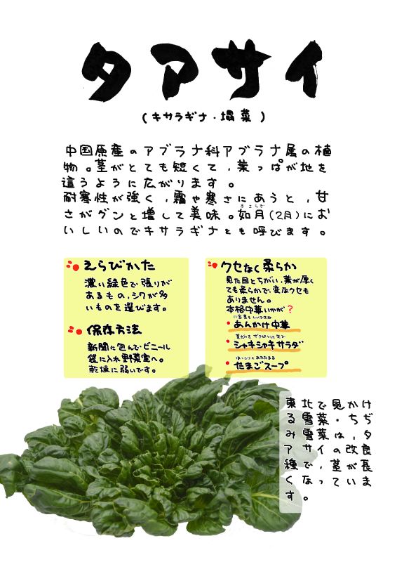 タアサイ　ターサイ｜心にチクっとささるワードで作る「ちくわPOP（ちくわぽっぷ）」｜農産物直売所やスーパーの青果売り場の活性化に！農に特化したPOPが無料!!