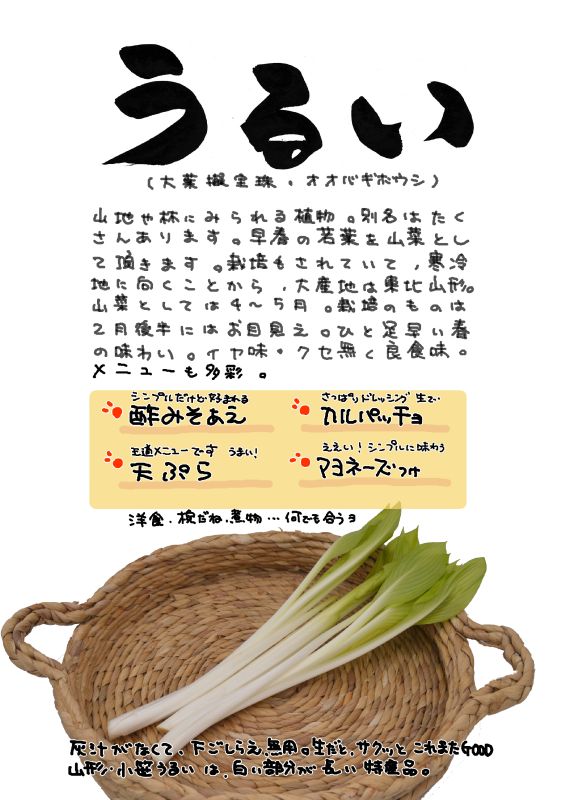 うるい　オオバギボウシ｜心にチクっとささるワードで作る「ちくわPOP（ちくわぽっぷ）」｜農産物直売所やスーパーの青果売り場の活性化に！農に特化したPOPが無料!!