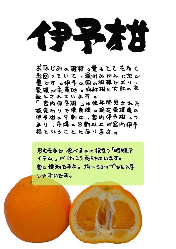 伊予柑　いよかん｜心にチクっとささるワードで作る「ちくわPOP（ちくわぽっぷ）」｜農産物直売所やスーパーの青果売り場の活性化に！農に特化したPOPが無料!!