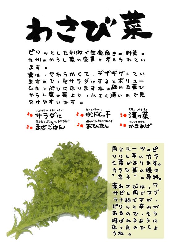 わさび菜｜心にチクっとささるワードで作る「ちくわPOP（ちくわぽっぷ）」｜農産物直売所やスーパーの青果売り場の活性化に！農に特化したPOPが無料!!