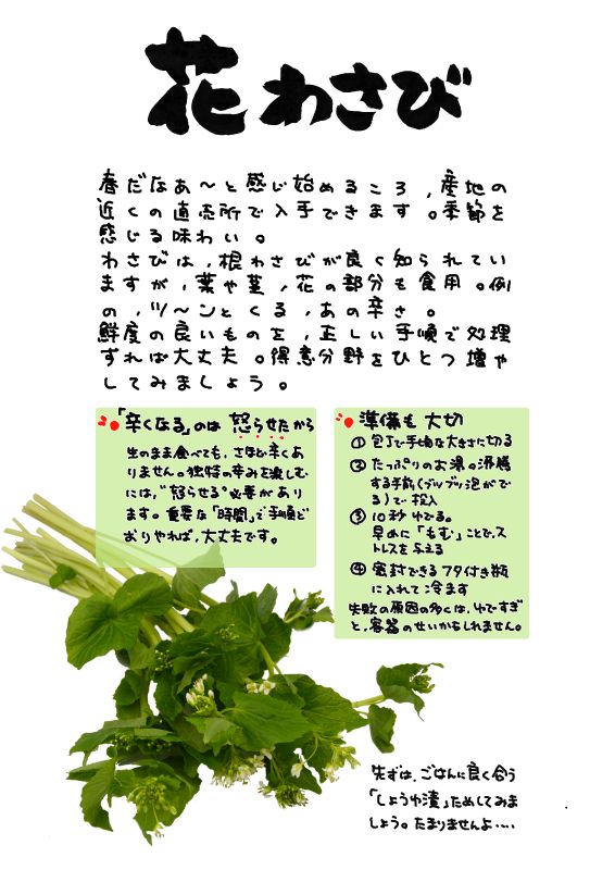 花わさび｜心にチクっとささるワードで作る「ちくわPOP（ちくわぽっぷ）」｜農産物直売所やスーパーの青果売り場の活性化に！農に特化したPOPが無料!!