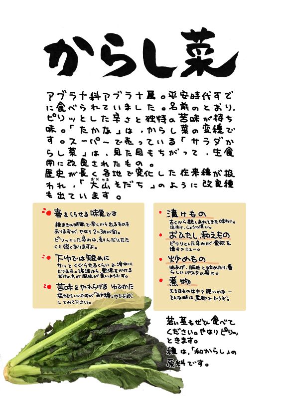 からしな　からし菜｜心にチクっとささるワードで作る「ちくわPOP（ちくわぽっぷ）」｜農産物直売所やスーパーの青果売り場の活性化に！農に特化したPOPが無料!!