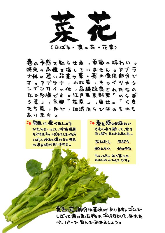 菜花　なばな｜心にチクっとささるワードで作る「ちくわPOP（ちくわぽっぷ）」｜農産物直売所やスーパーの青果売り場の活性化に！農に特化したPOPが無料!!