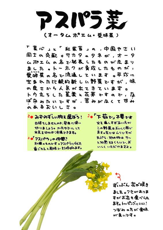 アスパラ菜｜心にチクっとささるワードで作る「ちくわPOP（ちくわぽっぷ）」｜農産物直売所やスーパーの青果売り場の活性化に！農に特化したPOPが無料!!