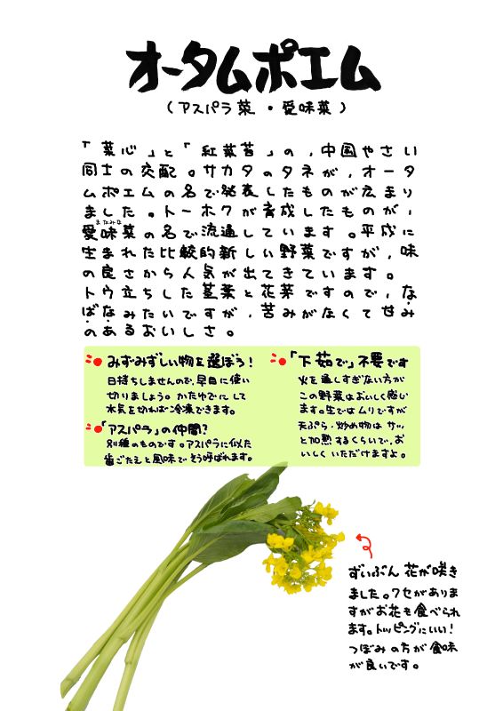 オータムポエム｜心にチクっとささるワードで作る「ちくわPOP（ちくわぽっぷ）」｜農産物直売所やスーパーの青果売り場の活性化に！農に特化したPOPが無料!!